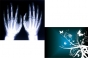 dupla_26