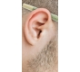 ear03