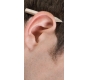 ear05