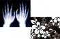 dupla_27