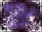 wii_043